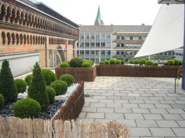 terrassen_weiden_bepflanzung_isar_klinikum