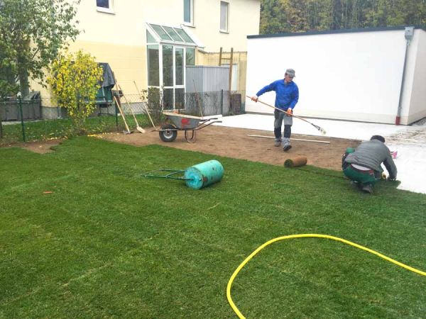 rasen_verlegen_privat_haus