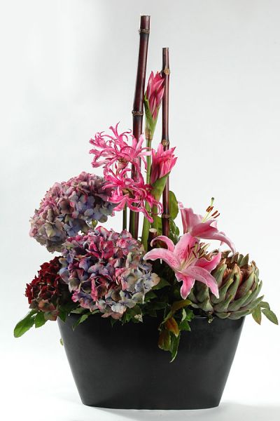 franzoesische_hortensien_nerini_zuckerrohr_amerano_lilien_artischocken