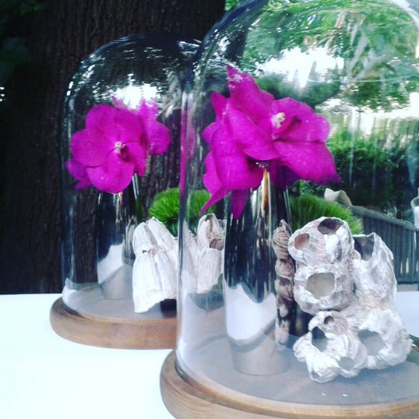 hochzeits_deko_vanda_muschel_glas_turz