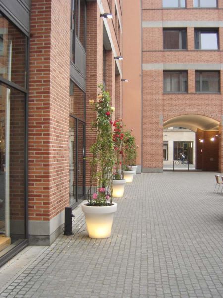 rosen_schaefflerhof_pflanzen_vermietung