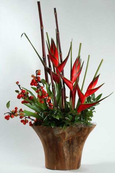 zuckerrohr_hagebutte_helikonien