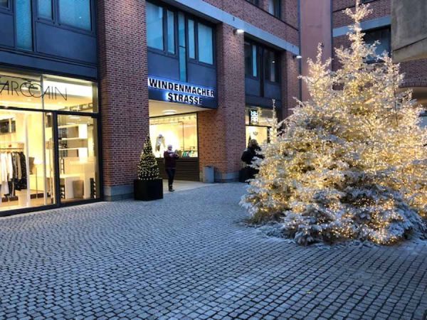 weisse_weihnachts_baum_schaefflerhof