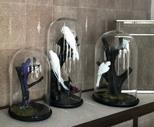 fruehling_arrangement_papagei_privat_haus_wohnung_deko