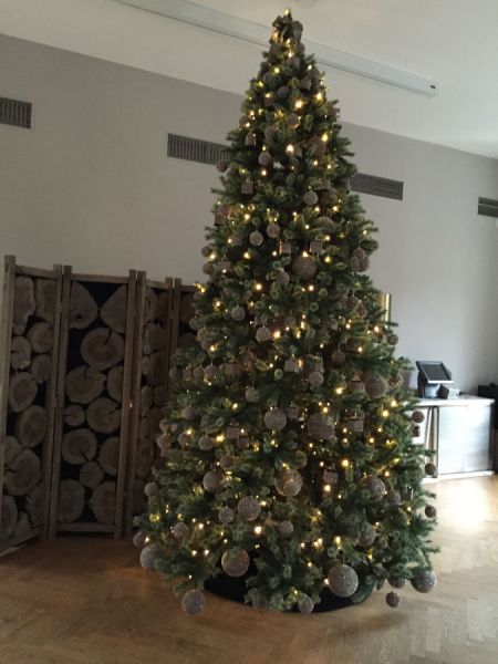 weihnachtsbaum_5_meter_reit_schule