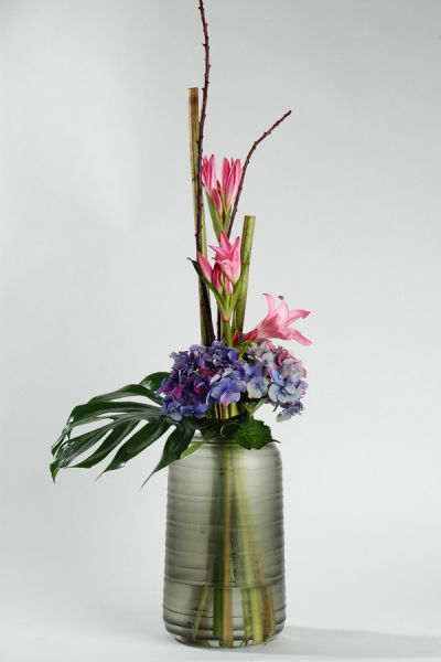 amarine_philodendron