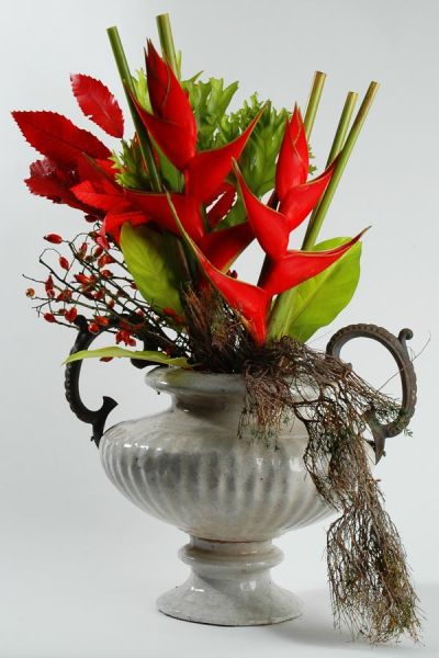 helikonien_red_iris_hagebutte