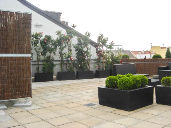 rosen_buchs_bepflanzung_terrassen_begruenung_isar_klinikum