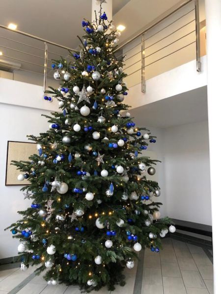 weihnachtsbaum_5_meter_data_modul