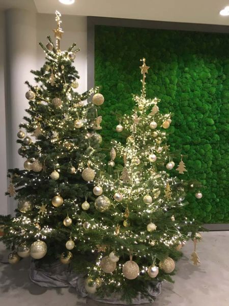 weihnachts_deko_weihnachts_baum_weil