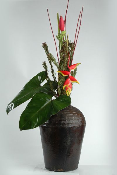 banane_heliconia_leucadendron