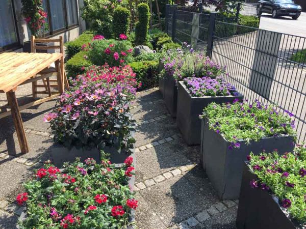 sommer_bepflanzung_toepfe_a_bis_z_tages_residenz