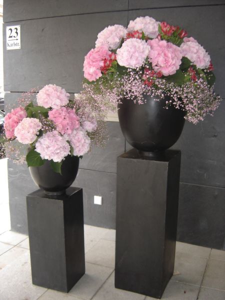 hortensien_schleierkraut_vogue