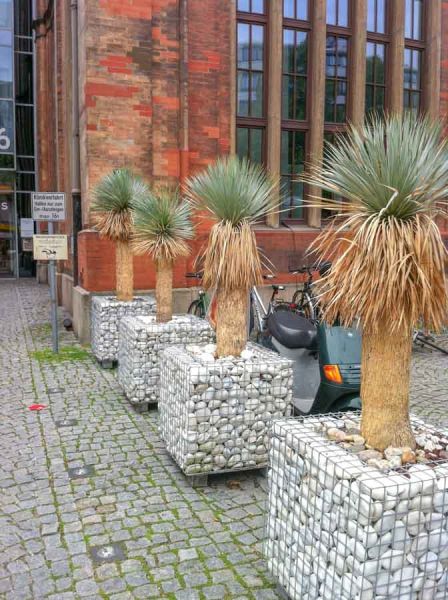 einfahrt_bepflanzung_isar_klinikum