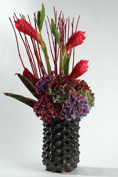 alpina_ginger_herbsthortensien_cornus