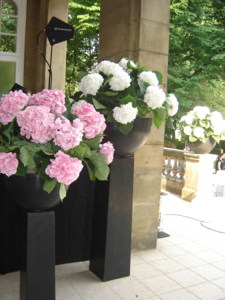 event_hortensien_vogue_schloss_duesseldorf_blumen_deko