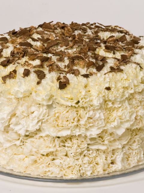 nelken_rindenmulch-2