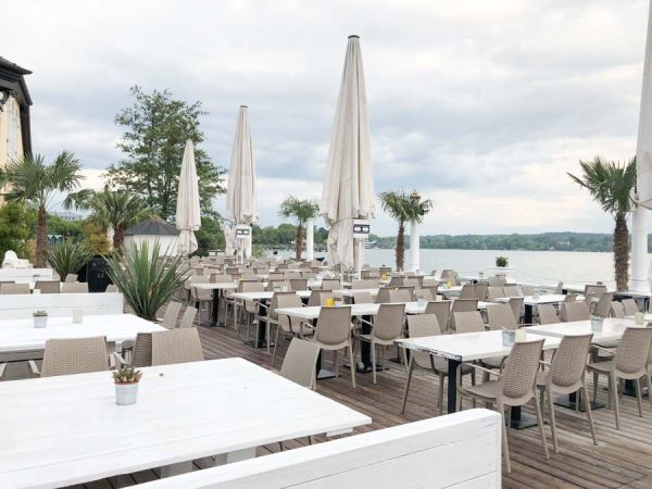 yucca_palmen_bepflanzung_hugos_stamberger_see_pflanzen_vermietung