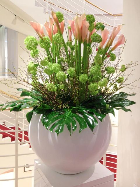 schneeball_viburnum_calla