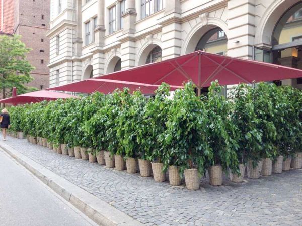 event_pflanzung_verleihung_literaturhaus