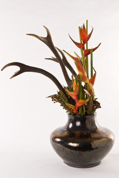 hirschgeweih_helikonien_datteln