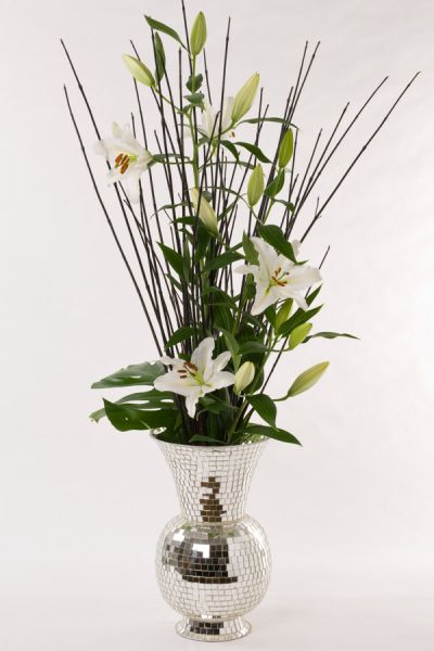 oriantalische_lilien_monsterablatt_cornus