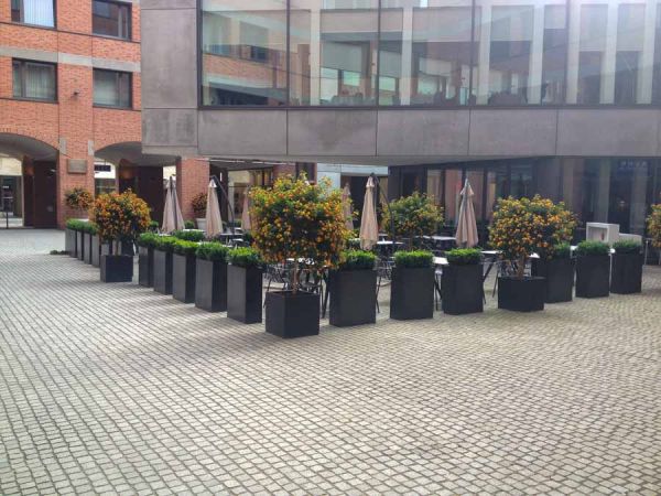 sommer_bepflanzung_gastronomie_bepflanzen_les_deux_schaefflerhof