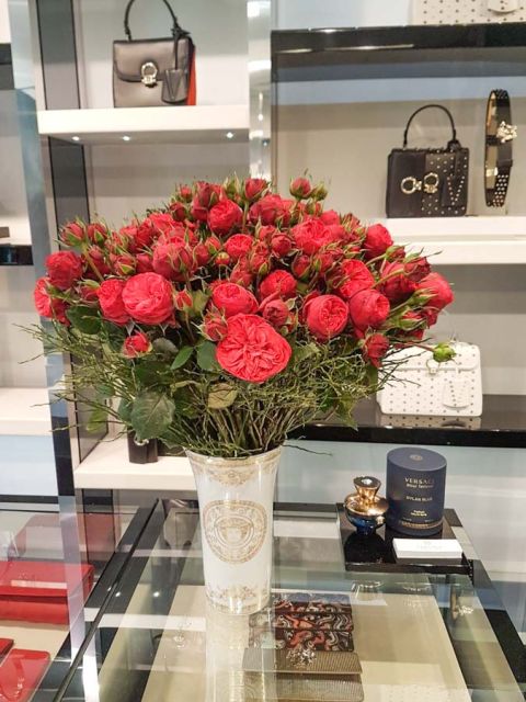 freilandrosen_versage