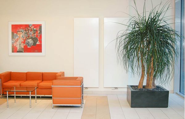 elefanten_fuss_raum_begruenung_bepflanzung_isar_klinikum_-2