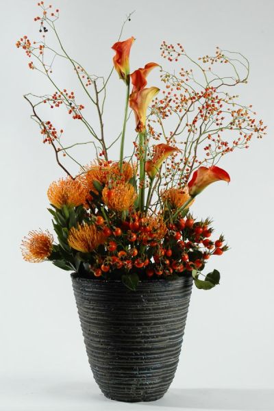 calla_nutans_hagebutte