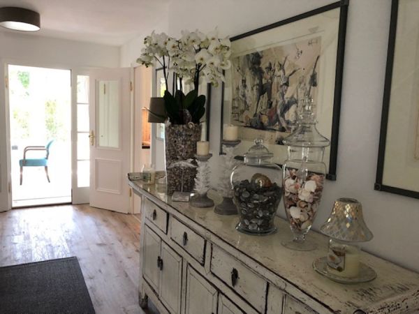 orkidee_phalaenopsis_muscheln_privat_haus_wohnung_deko