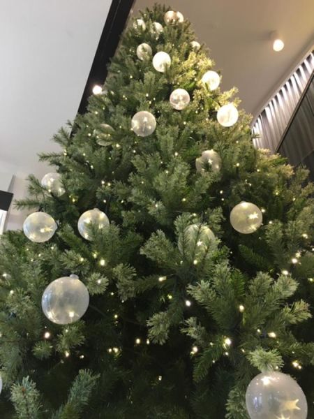 weihnachtsbaum_marion_heinrich