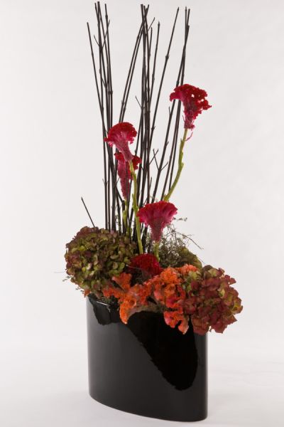 hortensien_hahnenkamm