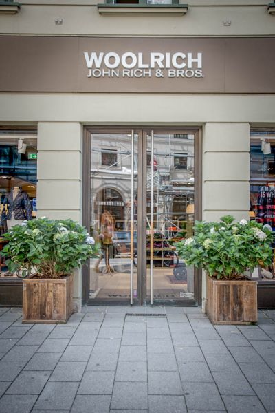 eingang_bepflanzung_hortensien_woolrich