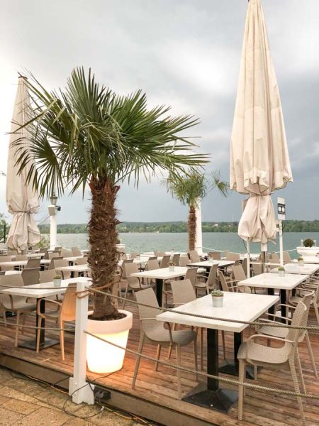 palmen_bepflanzung_hugos_stamberger_see_cafe_terrasse_pflanzen_vermietung
