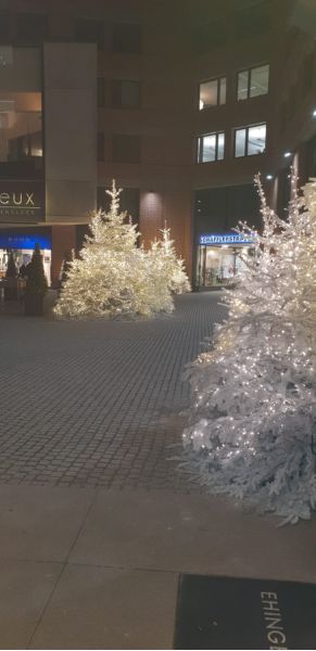 weihnachten_schaefflerhof