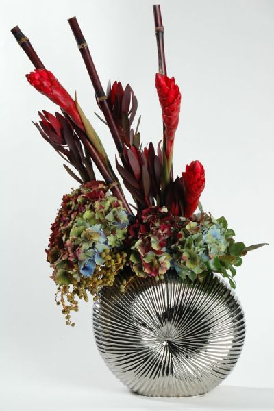 ginger_alpina_leucadendron_hortensien_zuckerrohr