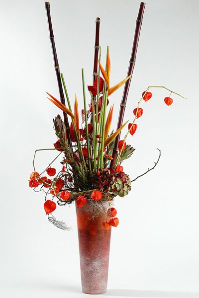 physalis_helikonien_zuckerrohr_leucadendron_hortensien