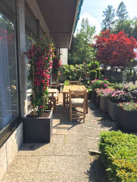 sommer_bepflanzung_a_bis_z_tages_residenz