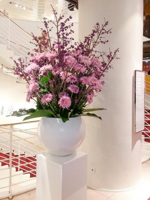 chrysanthemum_callicarpa_lodenfrey