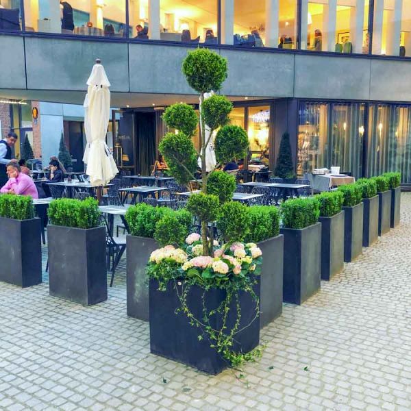 hof_bepflanzung_les_deux_schaefflerhof