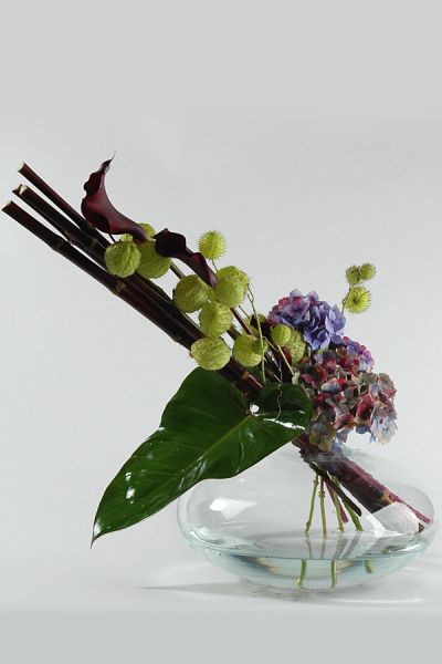 pabstei_zuckerrohr_calla_blumenabo