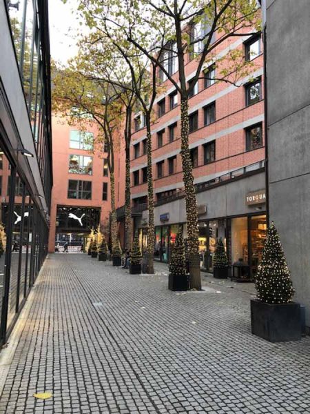 bepflanzung_weihnachten_schaefflerhof