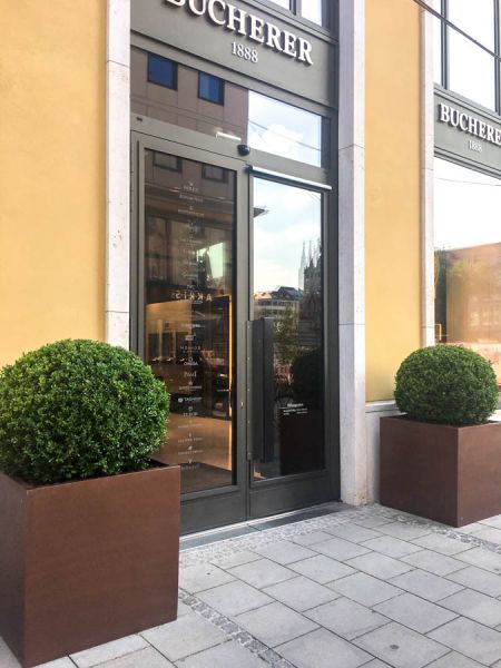 sommer_bepflanzung_buchs_vermietung_eingang_begruenung_bucherer