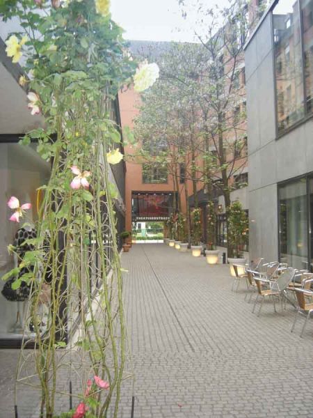 italienische_rosen_hof_bepflanzung_begruenung_schaefflerhof